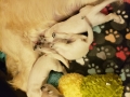 20190804_132644