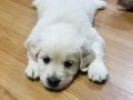 20190830_104248