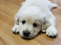 20190830_104252