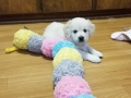 20190830_105010