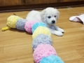 20190830_105011