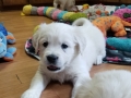 20190830_105211