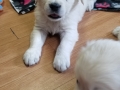 20190830_105214