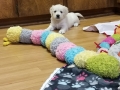 20190830_105231