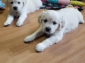 20190830_105251