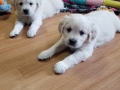 20190830_105251(0)