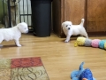20190830_105318