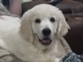 20180620_234304