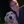 19225202_10203069622817771_8812372120553717168_n