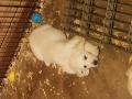 20170113_234645
