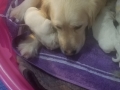 20190403_155113