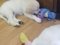 20190625_142039