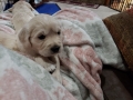 20190425_205744
