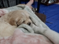 20190425_210052
