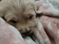 20190425_210356