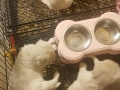 20190427_160318