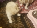 20190427_160332
