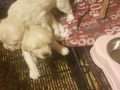 20190427_160336