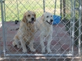 IMG_3227