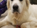 Snapchat-1081421609