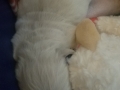 20190322_143013