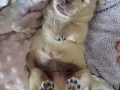 20190323_110215