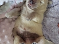 20190323_110217