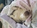 20190323_110655
