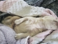 20190323_111040