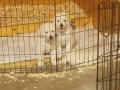 20190427_160453