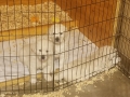 20190427_160504