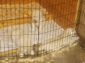 20190427_160529